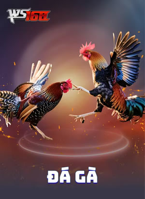 Hũ Vàng Huyền Bí